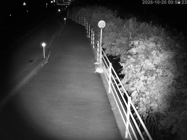 湯梨浜町方地～野花【東郷池周辺】