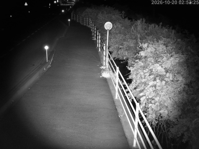 湯梨浜町方地～野花【東郷池周辺】