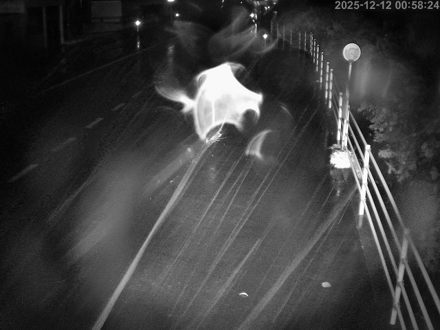 湯梨浜町方地～野花【東郷池周辺】