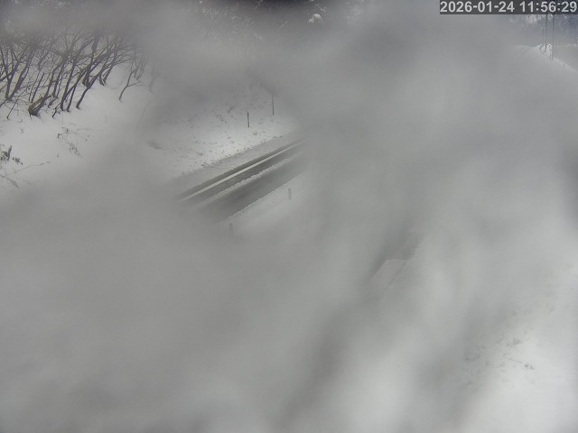 岩美町陸上【東浜IC付近】