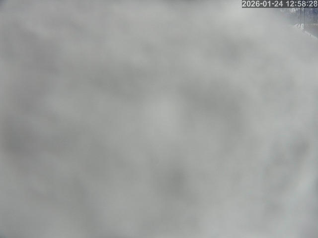 岩美町陸上【東浜IC付近】