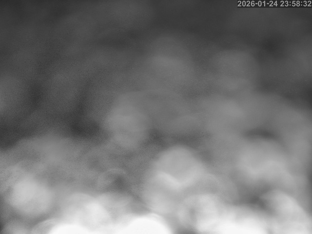 岩美町陸上【東浜IC付近】