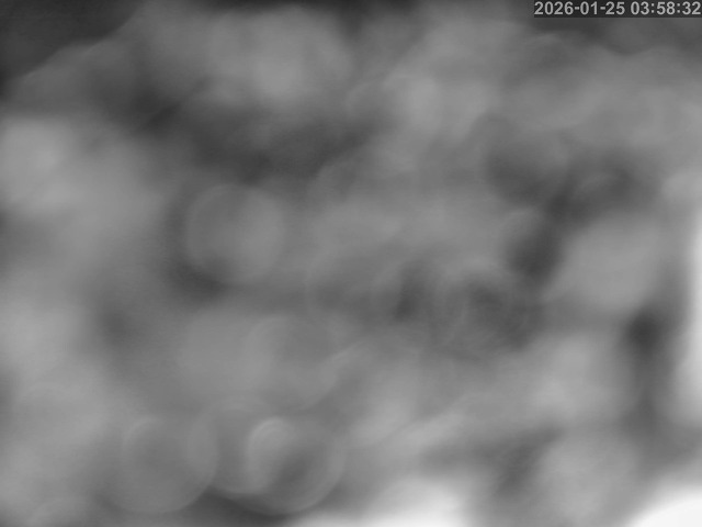 岩美町陸上【東浜IC付近】