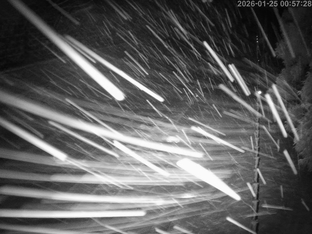 日野町板井原・上