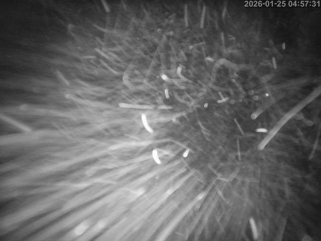 日野町板井原・上