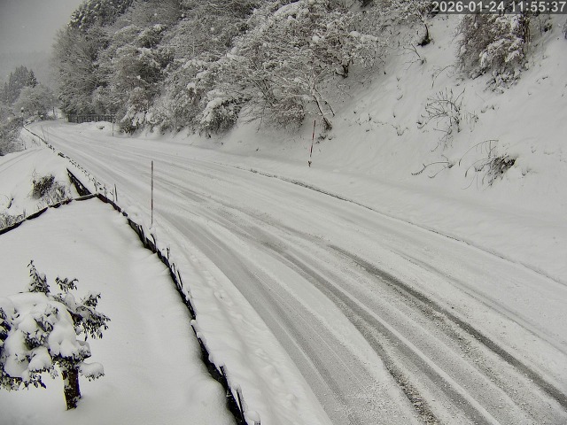 日野町門谷・中