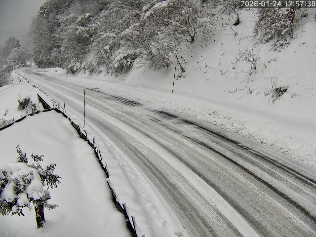 日野町門谷・中