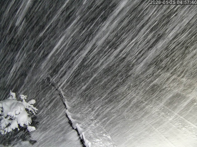 日野町門谷・中